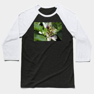 Passion Flower Closeup Baseball T-Shirt